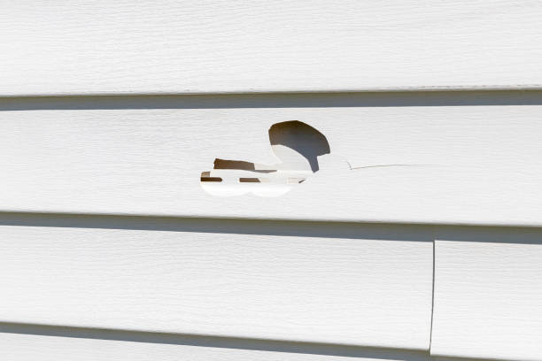 Custom Trim and Detailing for Siding in Lawson, MO