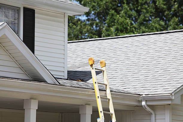 Best Fiber Cement Siding Installation  in Lawson, MO